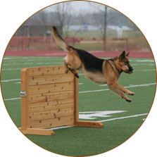 Agility