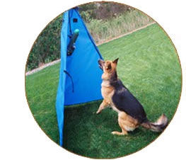 K-9 BSD Training Videos K-9 BSD Training Videos